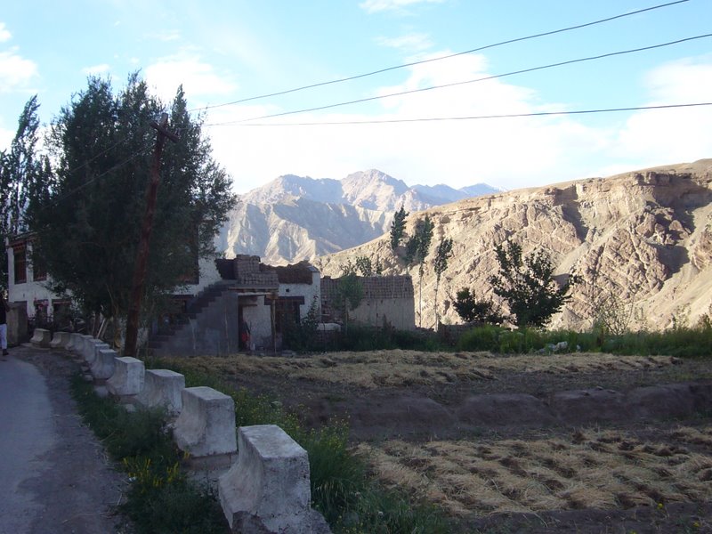 Travel - India - Ladakh - Trip to Alchi - Alchi
